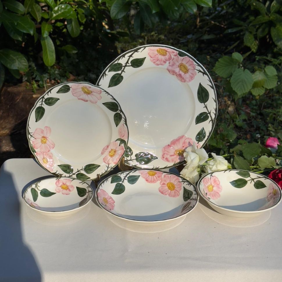 Тарелка глубокая ВиллеройБох Wild-Rose 20 см Люксембург