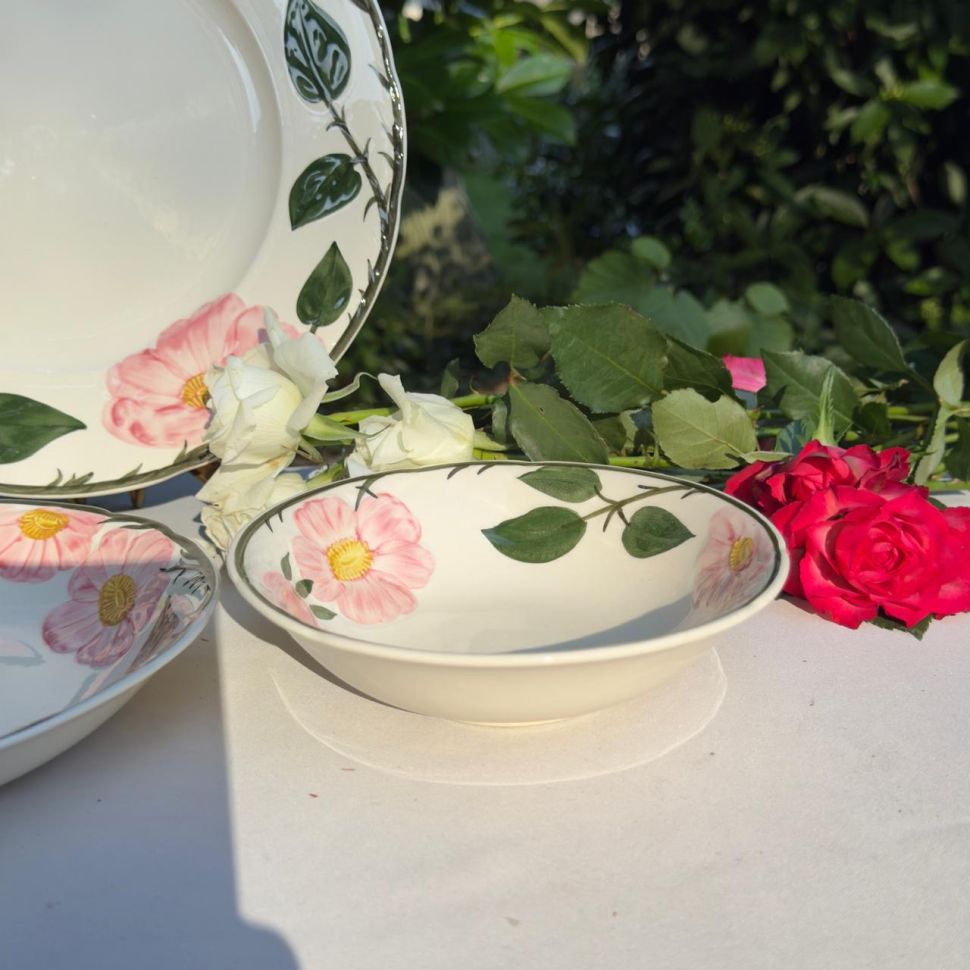 Тарелка глубокая ВиллеройБох Wild-Rose 20 см Люксембург