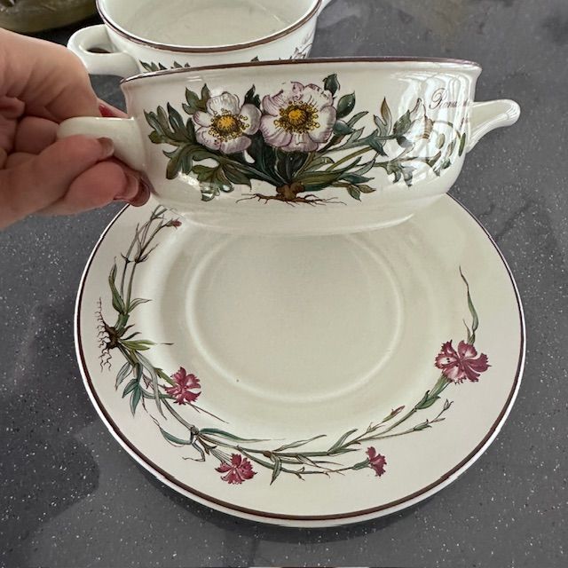 Бульонная пара Botanica 450 мл ВиллеройБох 2 категория