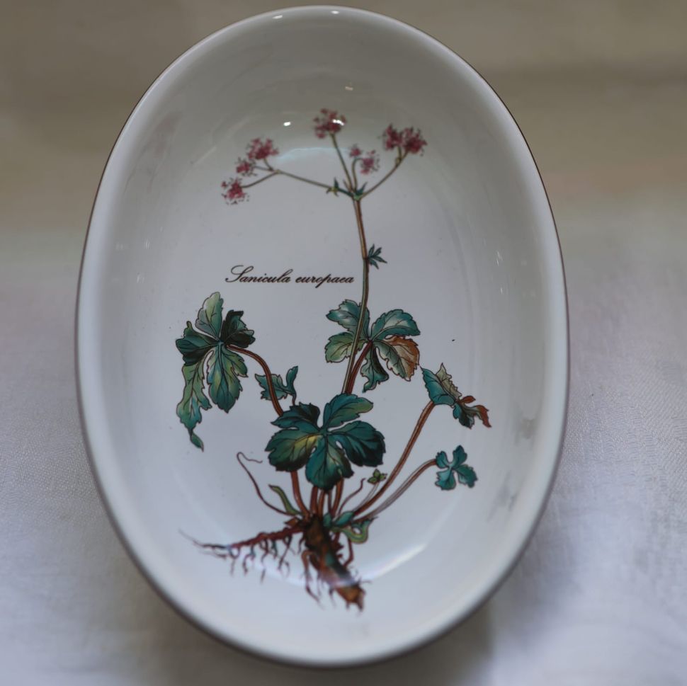 Блюдо овальное Botanica ВиллеройБох 21 см