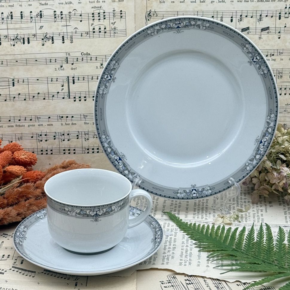 Чайное трио Schumann Arzberg 220 мл Бавария 