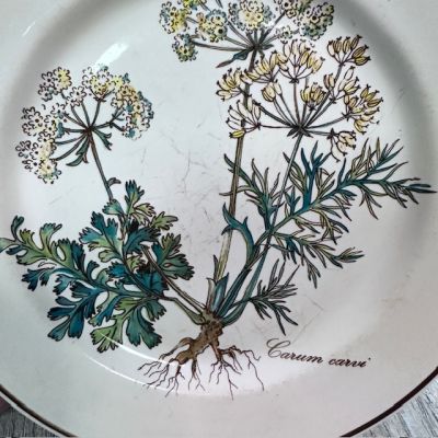 Тарелка для хлеба Botanica ВиллеройБох 17 см с корешком 2 категория