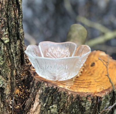 Салатник 13 см веточки stro хрусталь Швеция