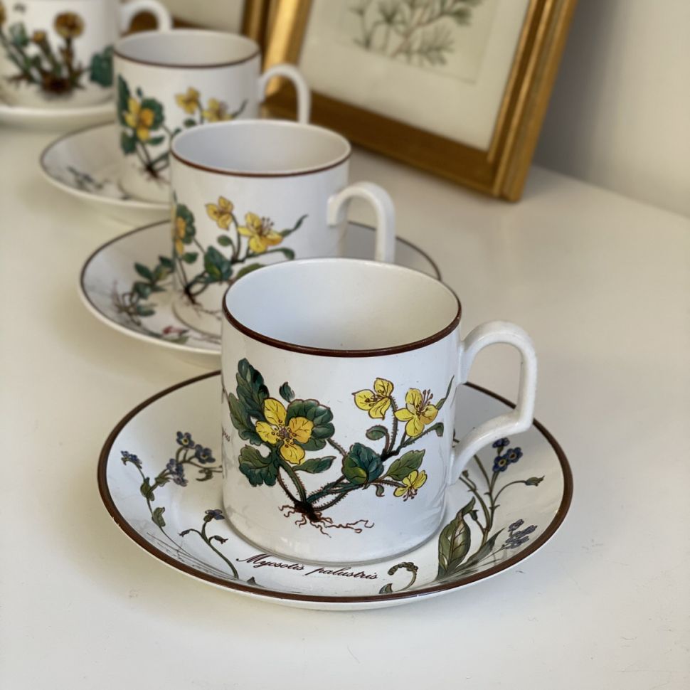 Чайная пара Botanica DE ВиллеройБох 200 мл