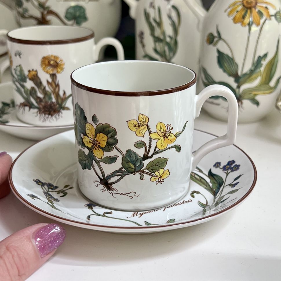 Чайная пара Botanica DE ВиллеройБох 200 мл