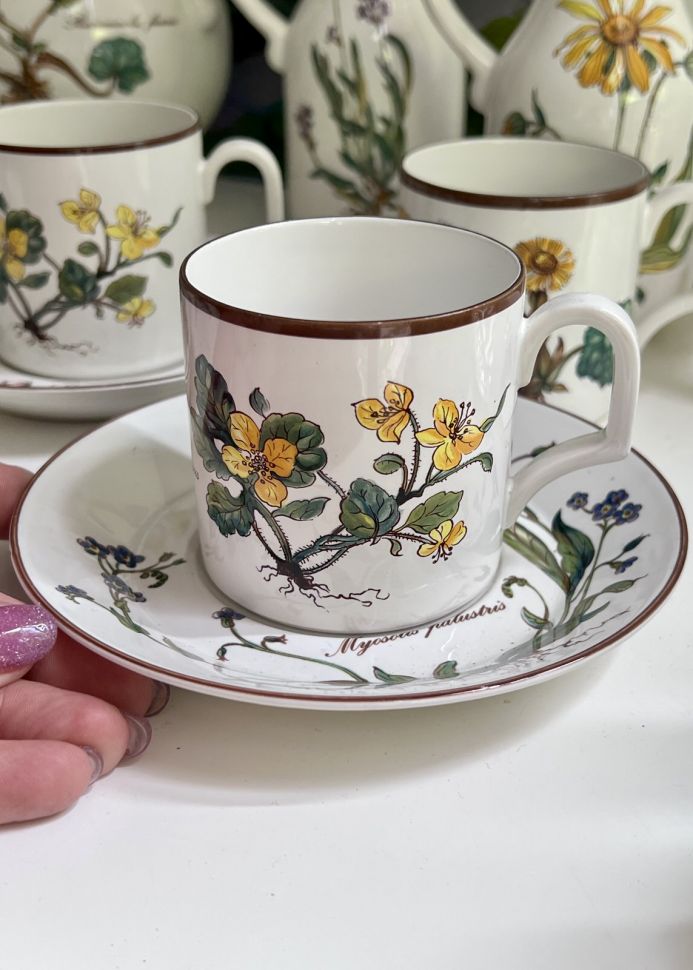 Чайная пара Botanica DE ВиллеройБох 200 мл