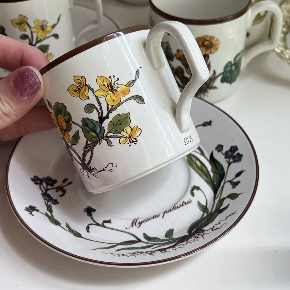 Чайная пара Botanica DE ВиллеройБох 200 мл