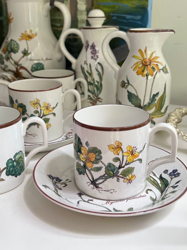 Чайная пара Botanica DE ВиллеройБох 200 мл