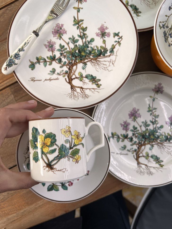 Чайная пара Botanica DE ВиллеройБох 200 мл