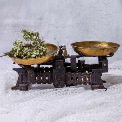 Весы с латунными чашами