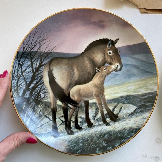 Тарелка The Wild Live by Will Nelson Horse