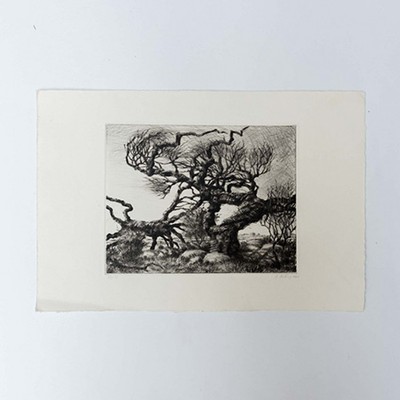Графика G. Billing 1987 г. Швеция