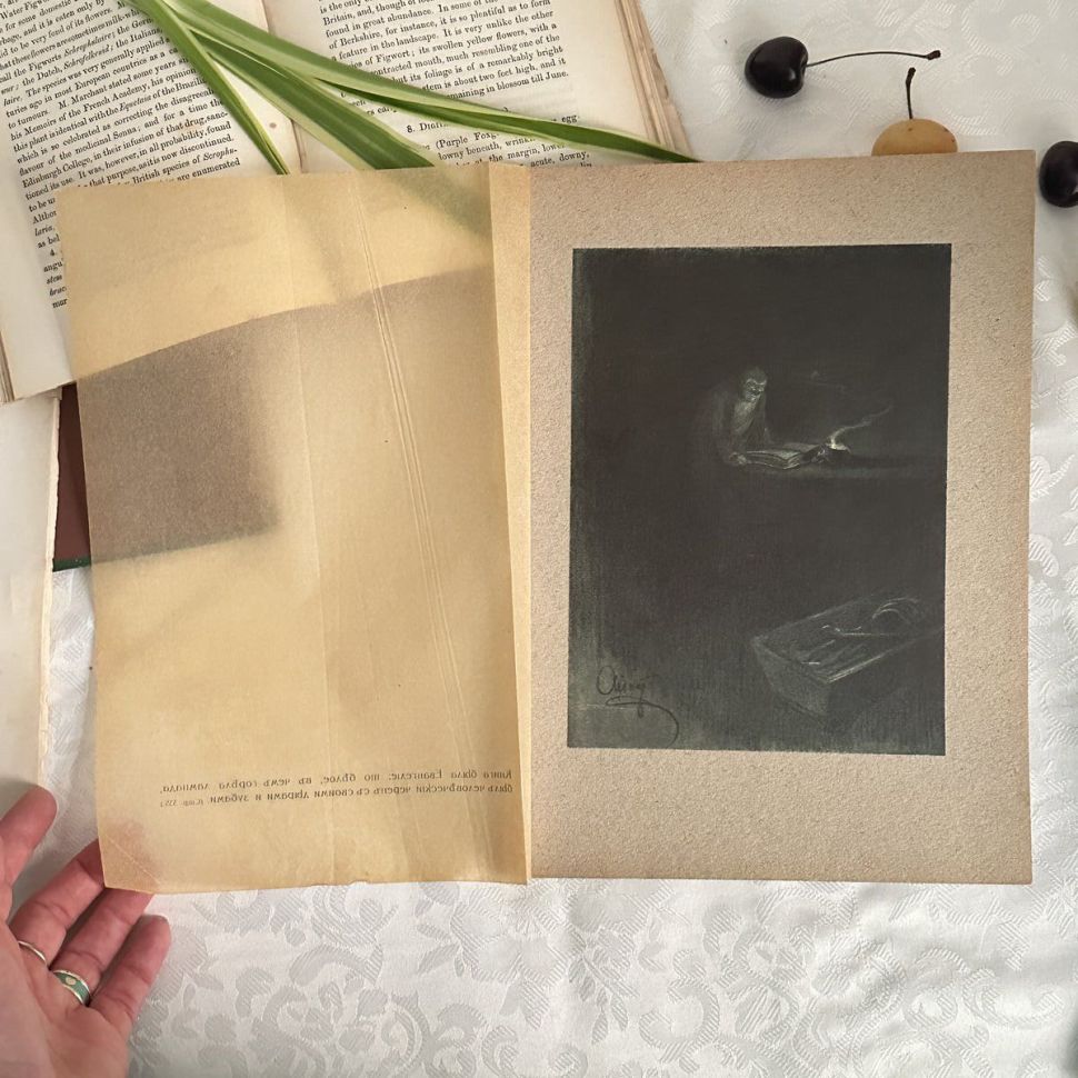 Литография 1912 г Война и Мир на картоне