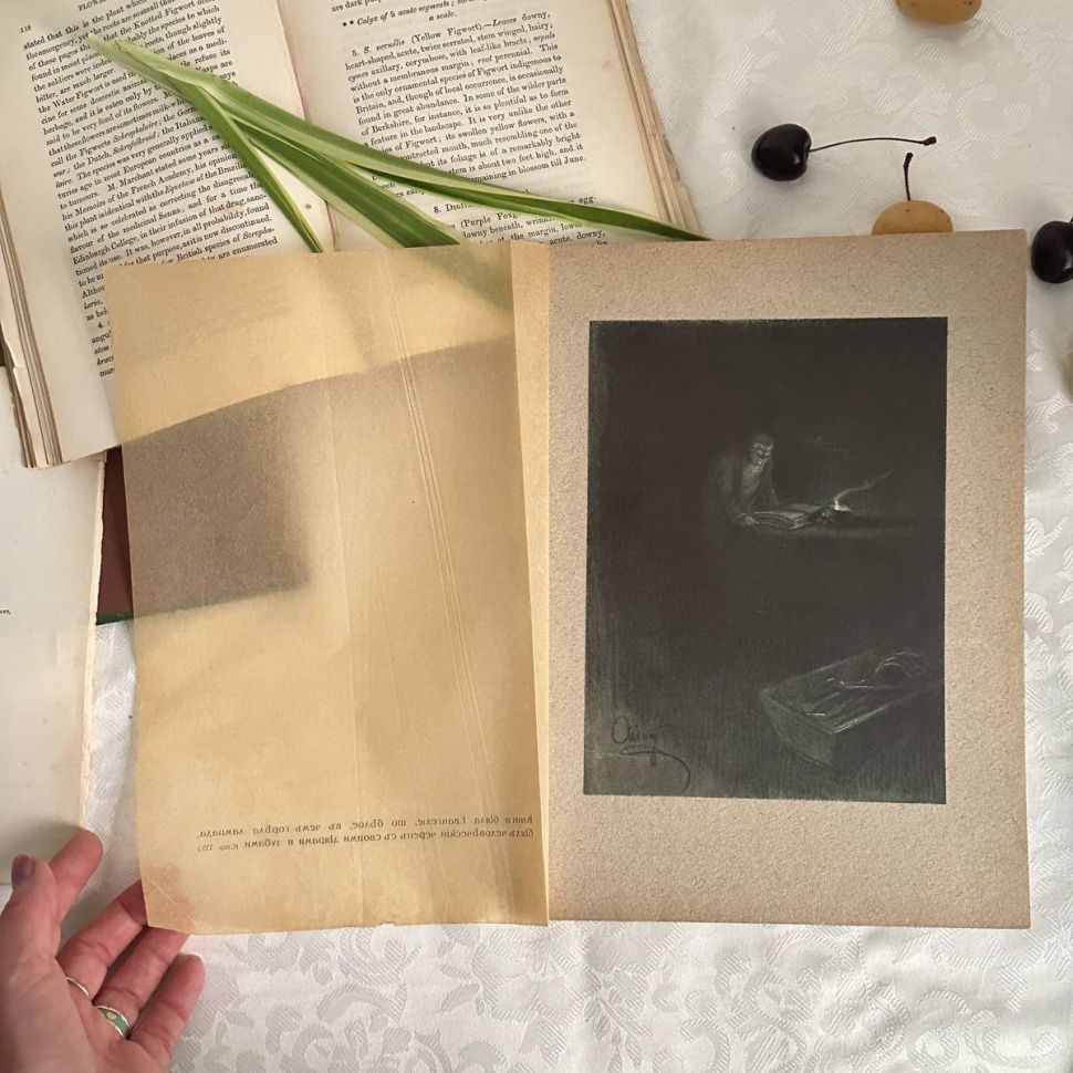 Литография 1912 г Война и Мир на картоне