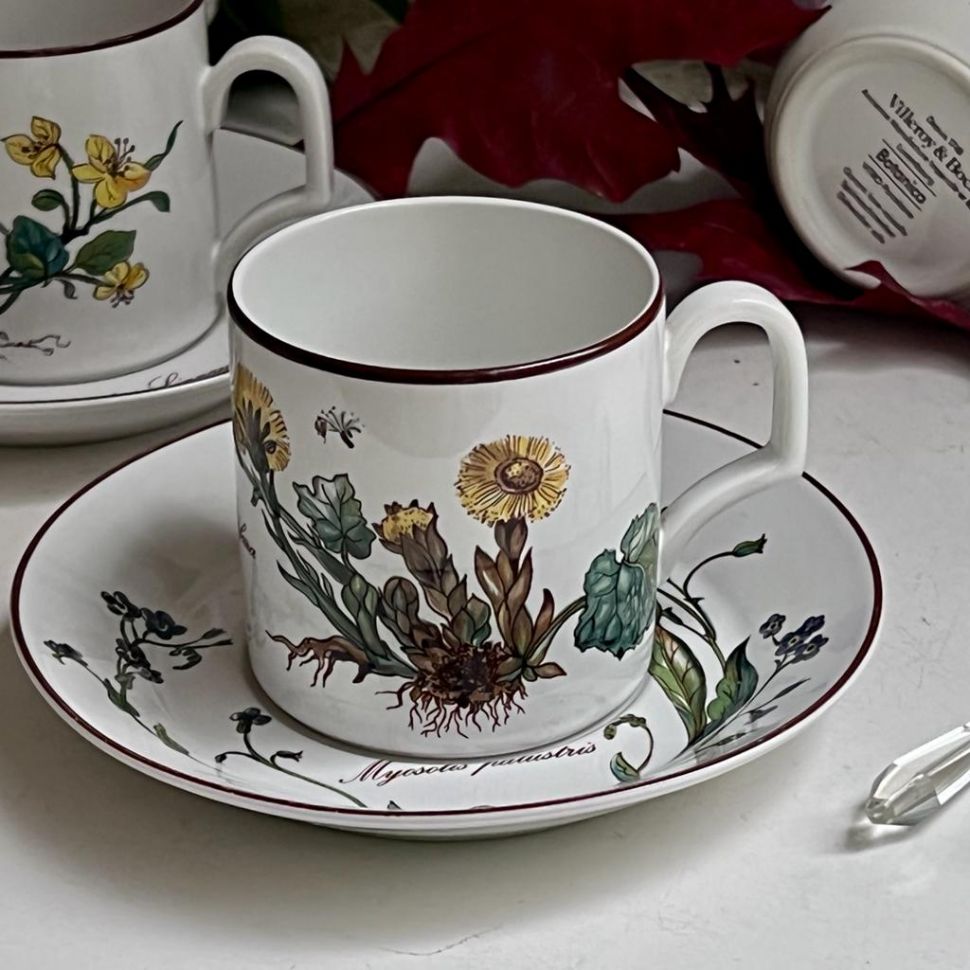 Чайная пара Botanica DE ВиллеройБох 200 мл