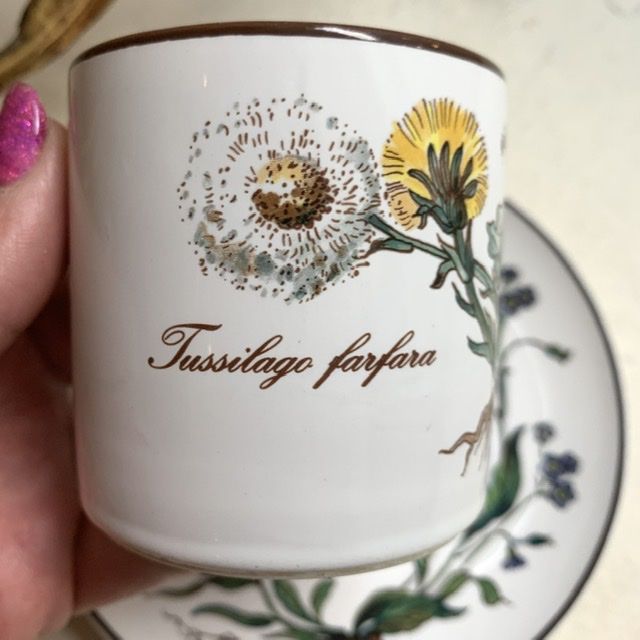 Чайная пара Botanica DE ВиллеройБох 200 мл