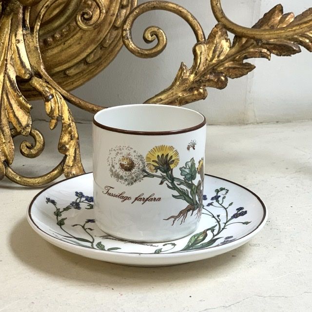 Чайная пара Botanica DE ВиллеройБох 200 мл