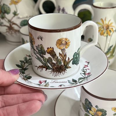 Чайная пара Botanica DE ВиллеройБох 200 мл