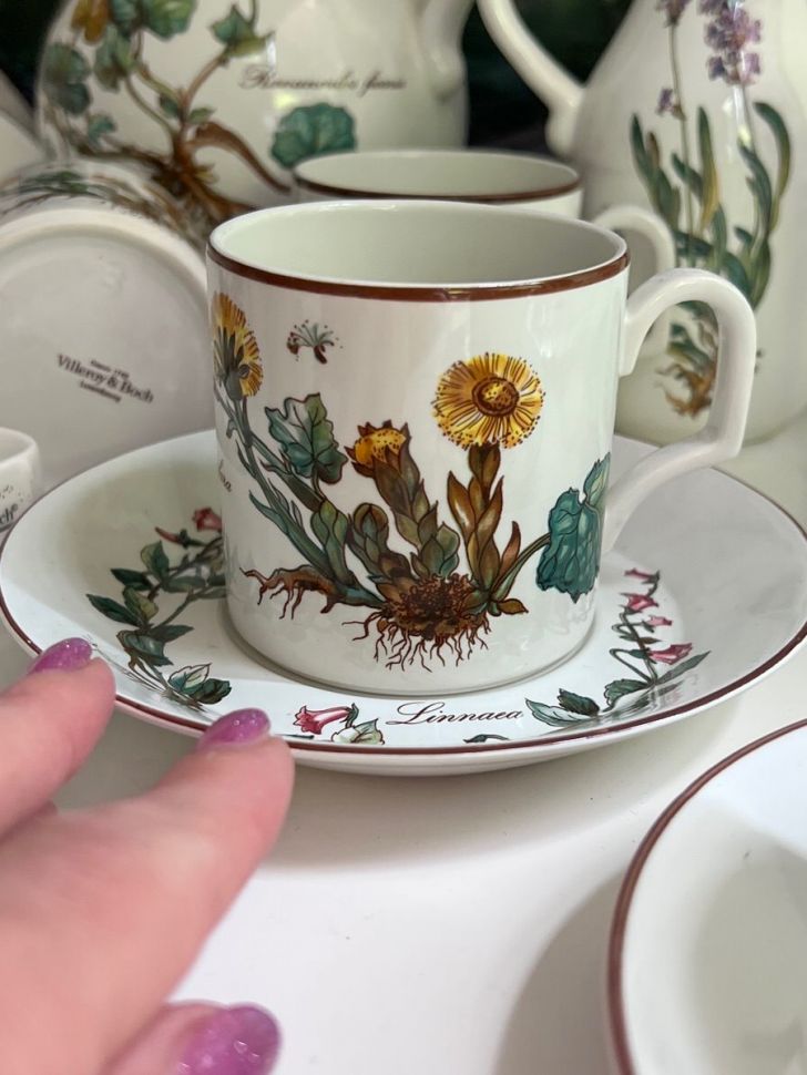 Чайная пара Botanica DE ВиллеройБох 200 мл