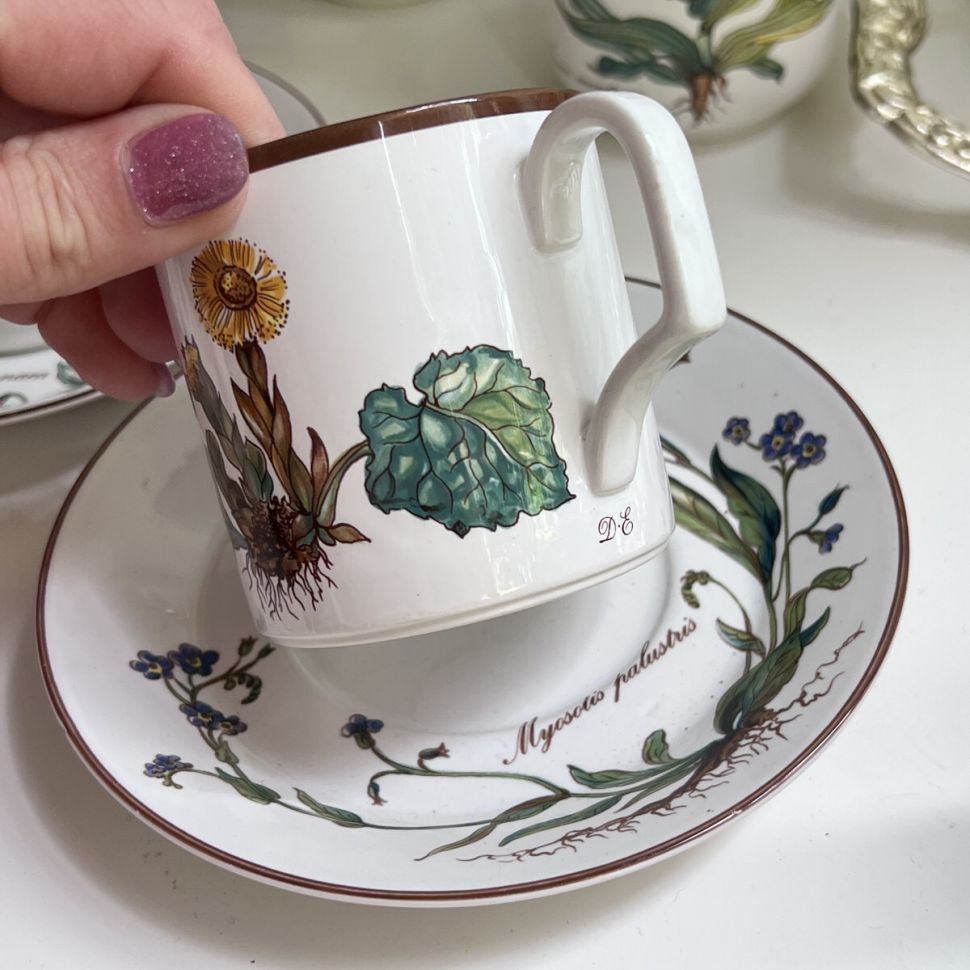 Чайная пара Botanica DE ВиллеройБох 200 мл