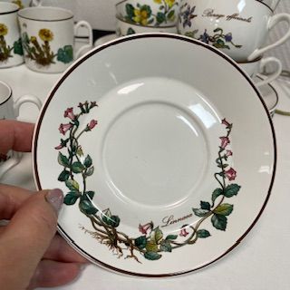 Чайная пара Botanica DE ВиллеройБох 200 мл