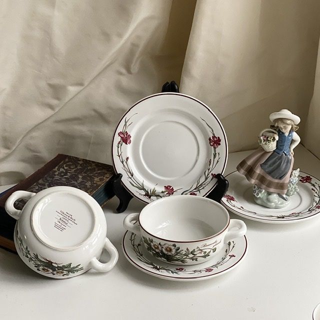 Тарелка Botanica блюдце под бульонку и миску Гвоздика Виллерой Бох Германия