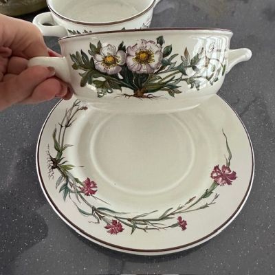 Тарелка Botanica блюдце под бульонку и миску Гвоздика Виллерой Бох Германия