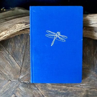 Энциклопедия мини Насекомые