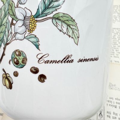 Банка Botanica ВиллеройБох 1 л Camellia sinensus