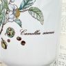 Банка Botanica 1000 мл Camellia sinensus ВиллеройБох