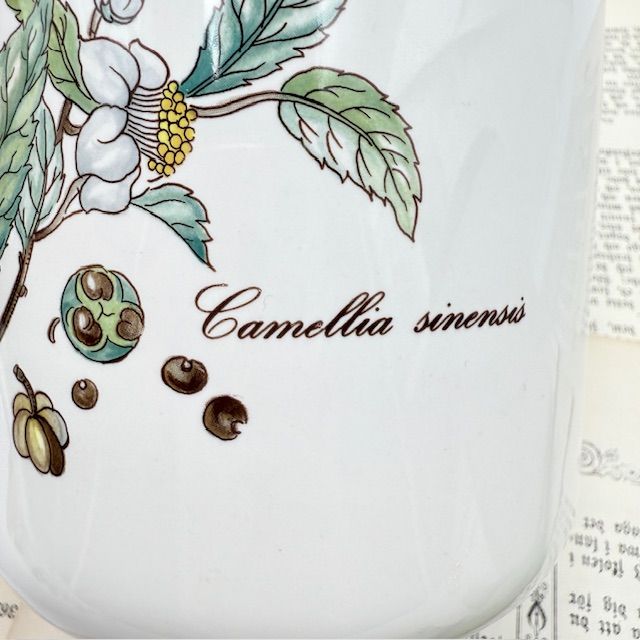 Банка Botanica ВиллеройБох 1 л Camellia sinensus