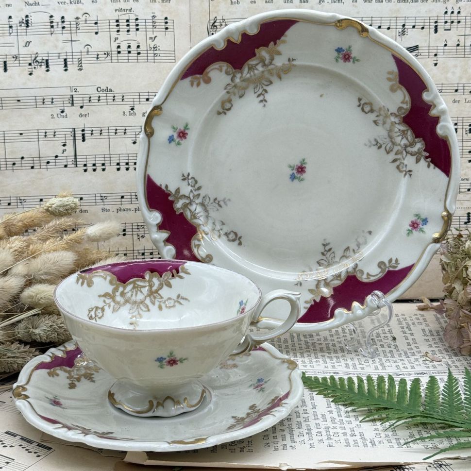 Чайное трио Roschutz 220 мл фарфор Германия 