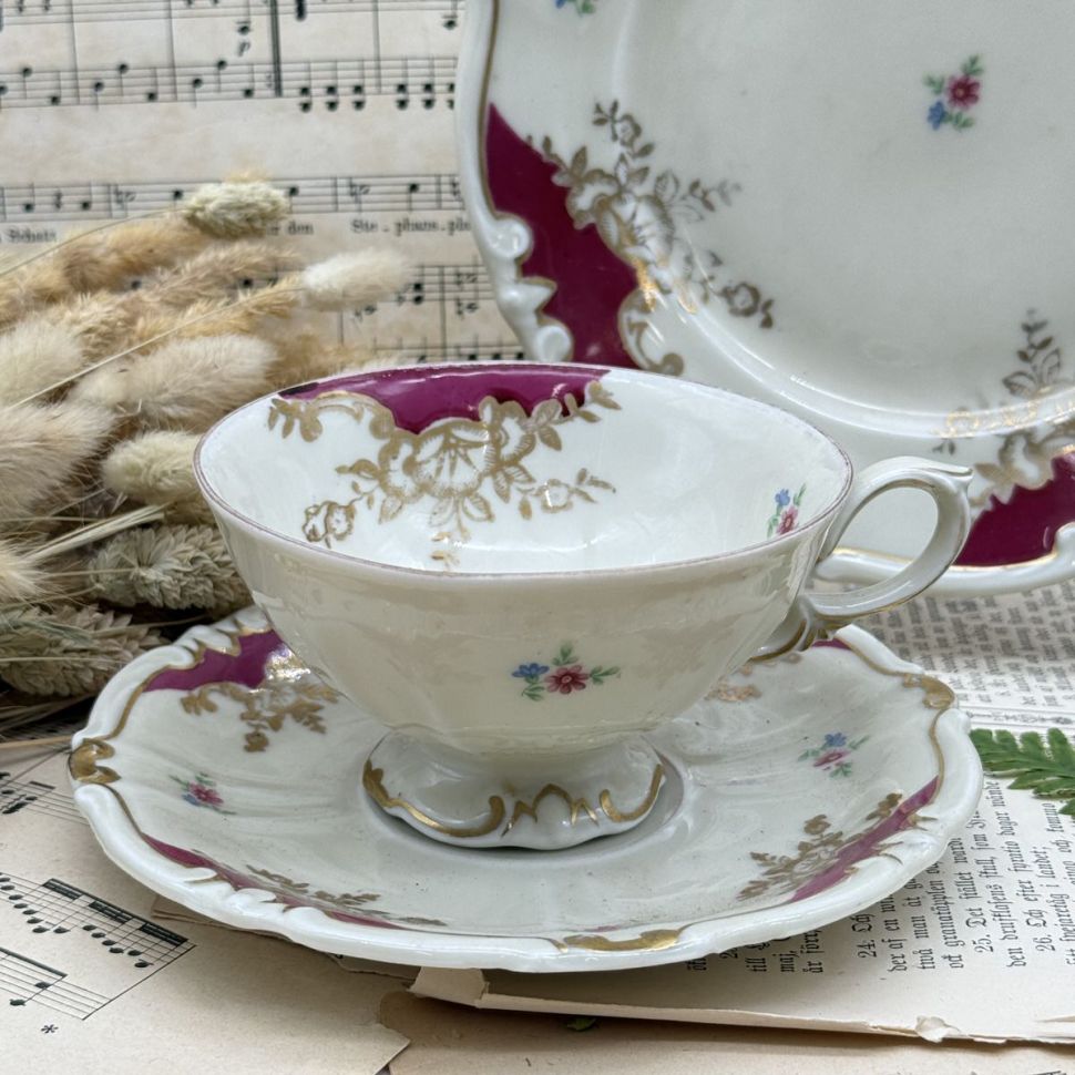 Чайное трио Roschutz 220 мл фарфор Германия 