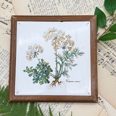 Подставка под горячее Botanica 18 см ВиллеройБох