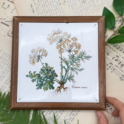 Подставка под горячее Botanica 18 см ВиллеройБох 