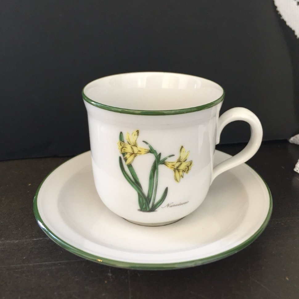 Кофейная пара Seltmann Weiden Германия ботаника