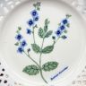 Тарелка Schumann Arzberg Tradition Veronica chamaedrys 19 см Бавария