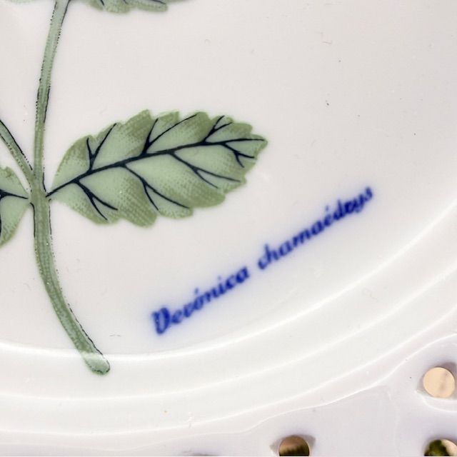 Тарелка Schumann Arzberg Tradition Veronica chamaedrys 19 см Бавария