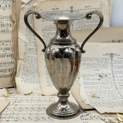 Ваза кубок MARZA 26 см серебрение 