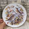Тарелка декоративная Royal Albert Garden Birds 22 см Англия 1989