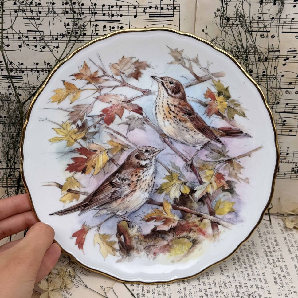 Тарелка декоративная Royal Albert Garden Birds 22 см Англия 1989