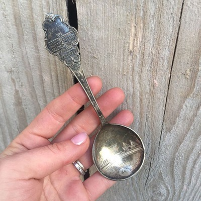 Ложка десертно-сервировочная с городом