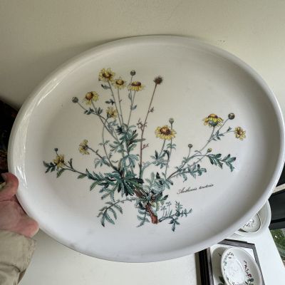 Поднос Botanica 50 см ВиллеройБох