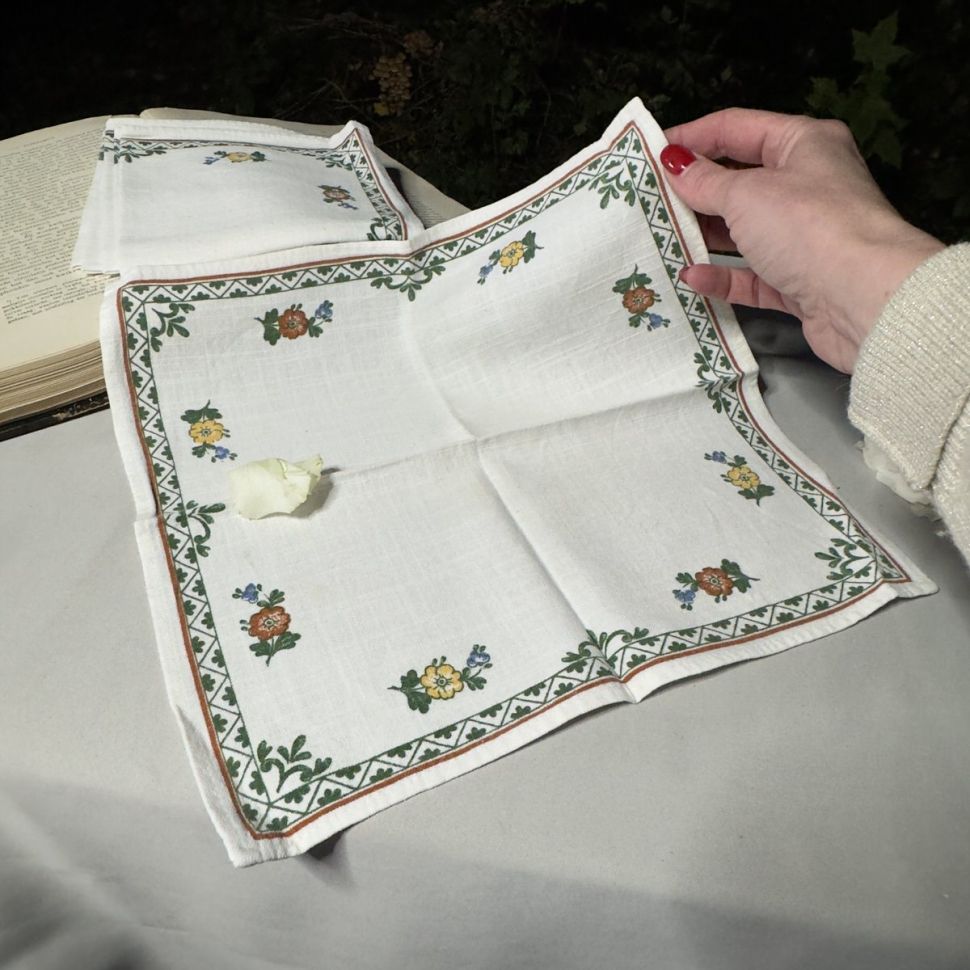 Салфетка ВиллеройБох Alt Amsterdam 30х30 см хлопок Германия