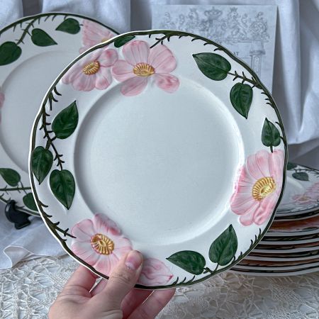 Тарелка ВиллеройБох Wild-Rose 21 см Германия 2 кат.