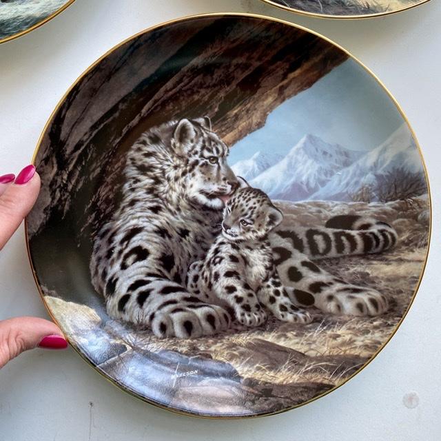Тарелка The Wild Live by Will Nelson Leopard