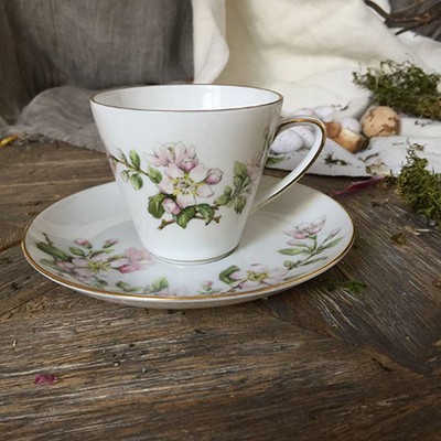 Кофейная пара Цвет яблони Krautheim Selb Bavaria 20-е гг