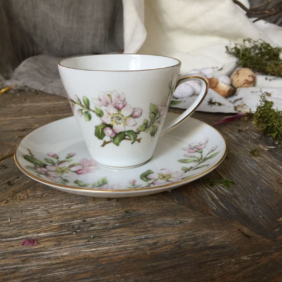 Кофейная пара Цвет яблони Krautheim Selb Bavaria 20-е гг