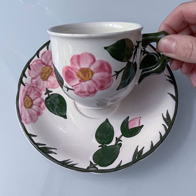 Чайная пара ВиллеройБох Wild-Rose 220 мл Люксембург