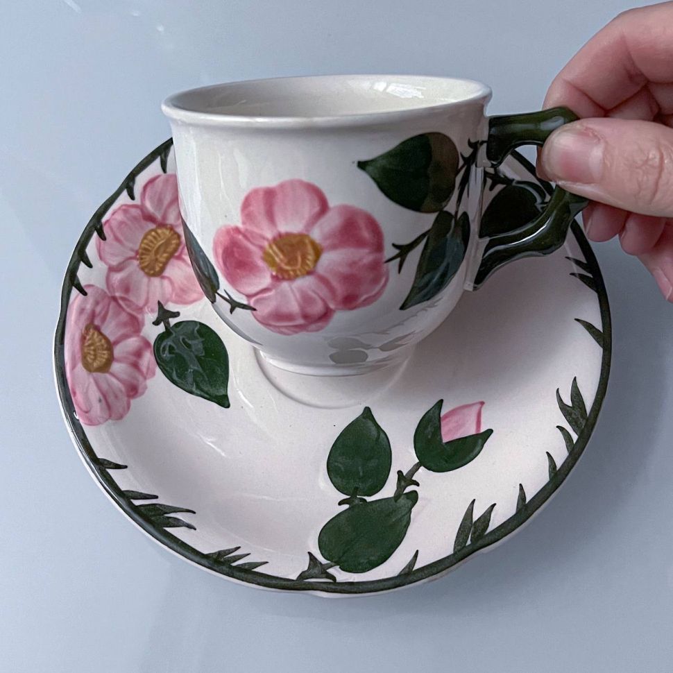 Чайная пара ВиллеройБох Wild-Rose 220 мл Люксембург